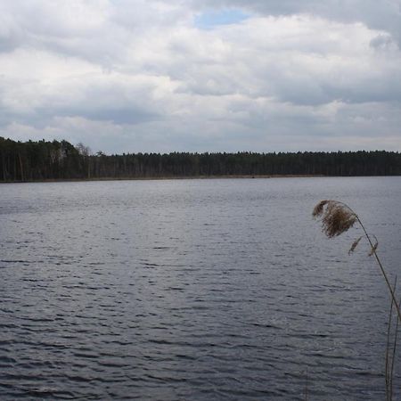 Gajówka Żłobek Zlobek (Wlodawa) Exterior foto