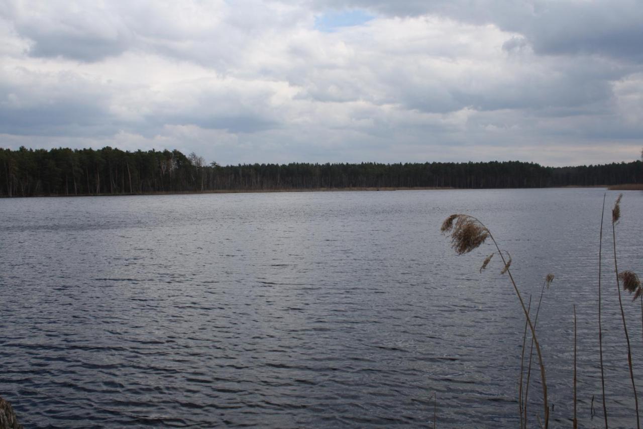Gajówka Żłobek Zlobek (Wlodawa) Exterior foto