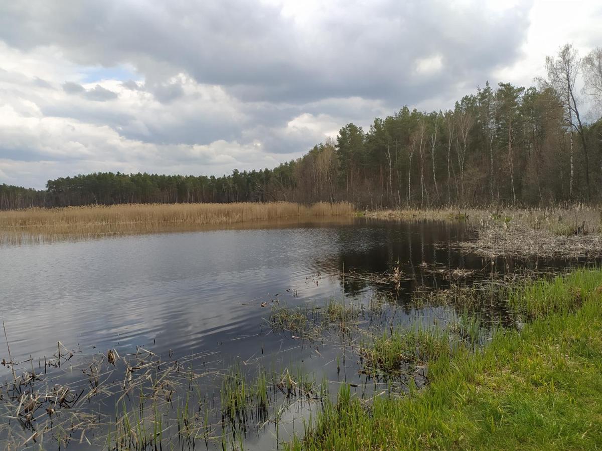 Gajówka Żłobek Zlobek (Wlodawa) Exterior foto