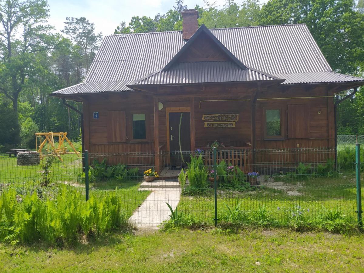 Gajówka Żłobek Zlobek (Wlodawa) Exterior foto