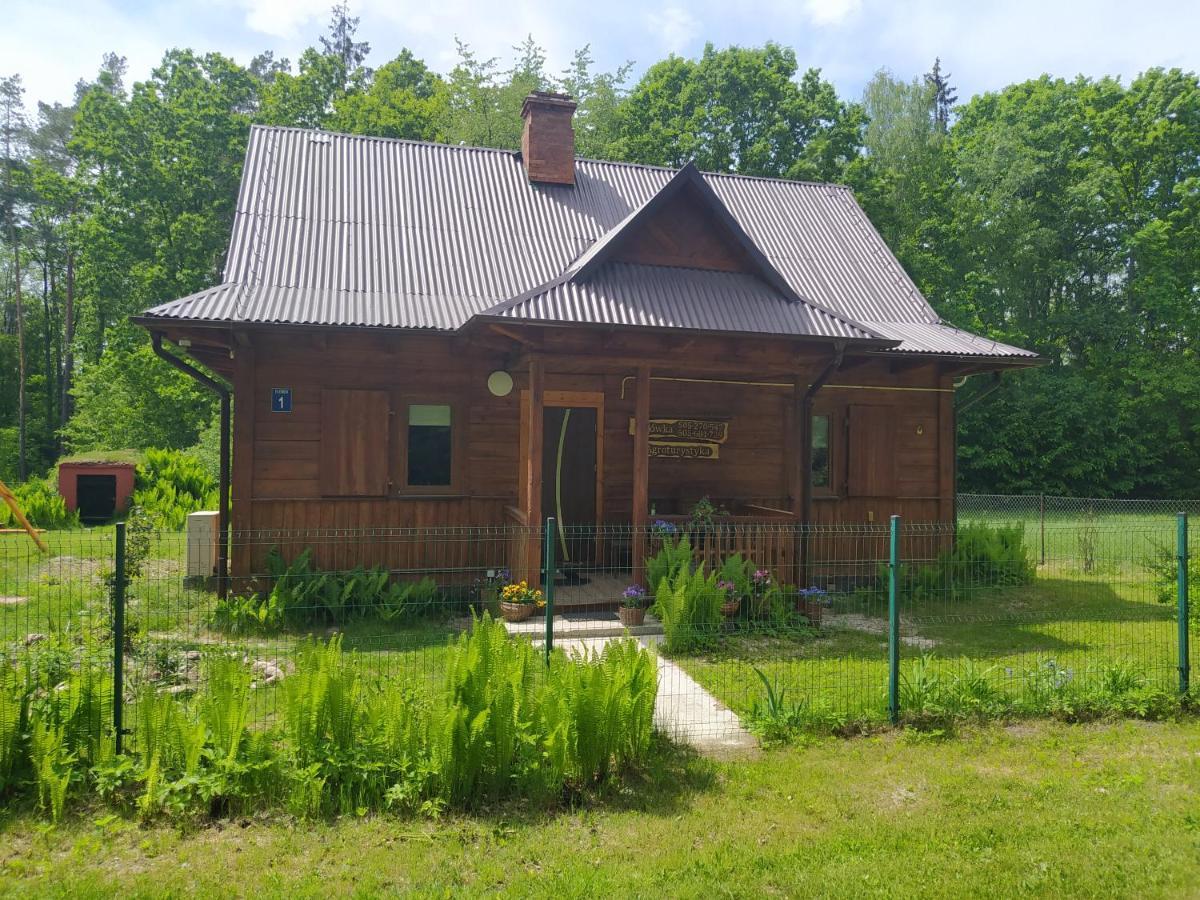 Gajówka Żłobek Zlobek (Wlodawa) Exterior foto